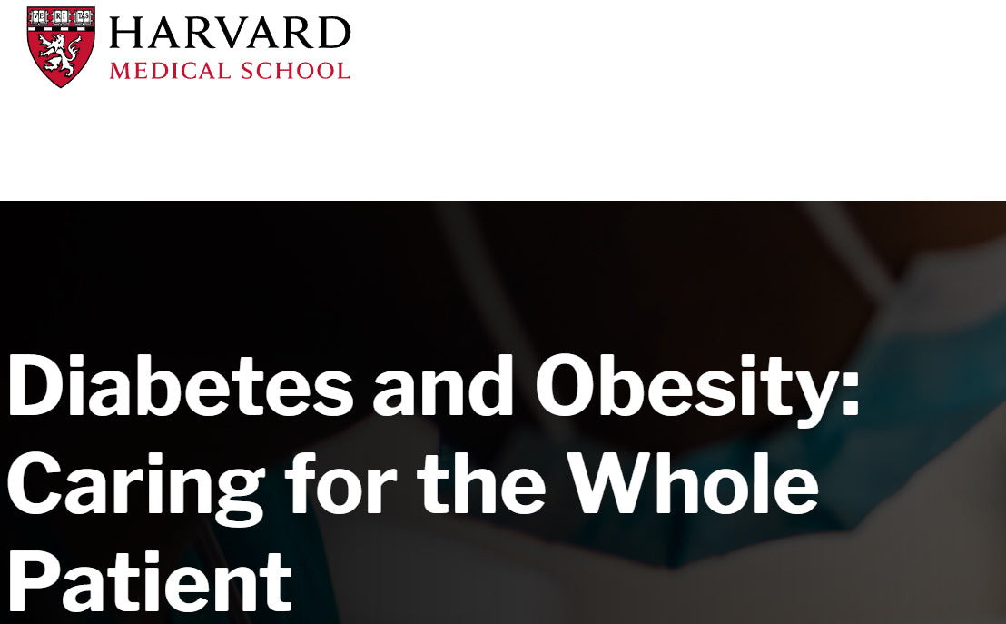 Harvard Diabetes and Obesity Caring for the Whole Patient 2025