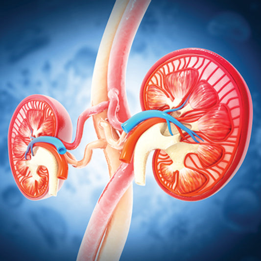 Oakstone Intensive Review of Nephrology 2025