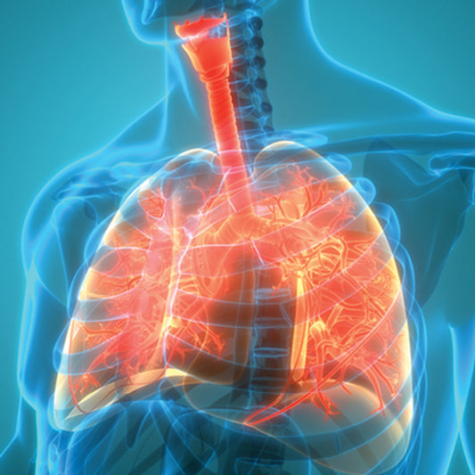 Oakstone The Brigham Board Review in Pulmonary Medicine 2025
