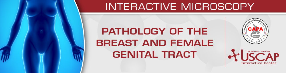 USCAP Pathology of the Breast and Female Genital Tract 2025