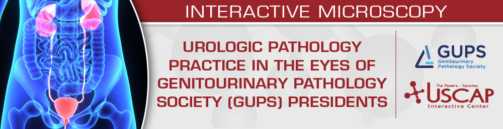 USCAP Urologic Pathology Practice in the Eyes of Genitourinary Pathology Society (GUPS) Presidents 2025