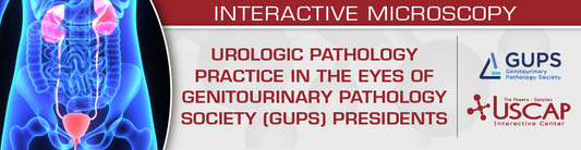 USCAP Urologic Pathology Practice in the Eyes of Genitourinary Pathology Society (GUPS) Presidents 2025